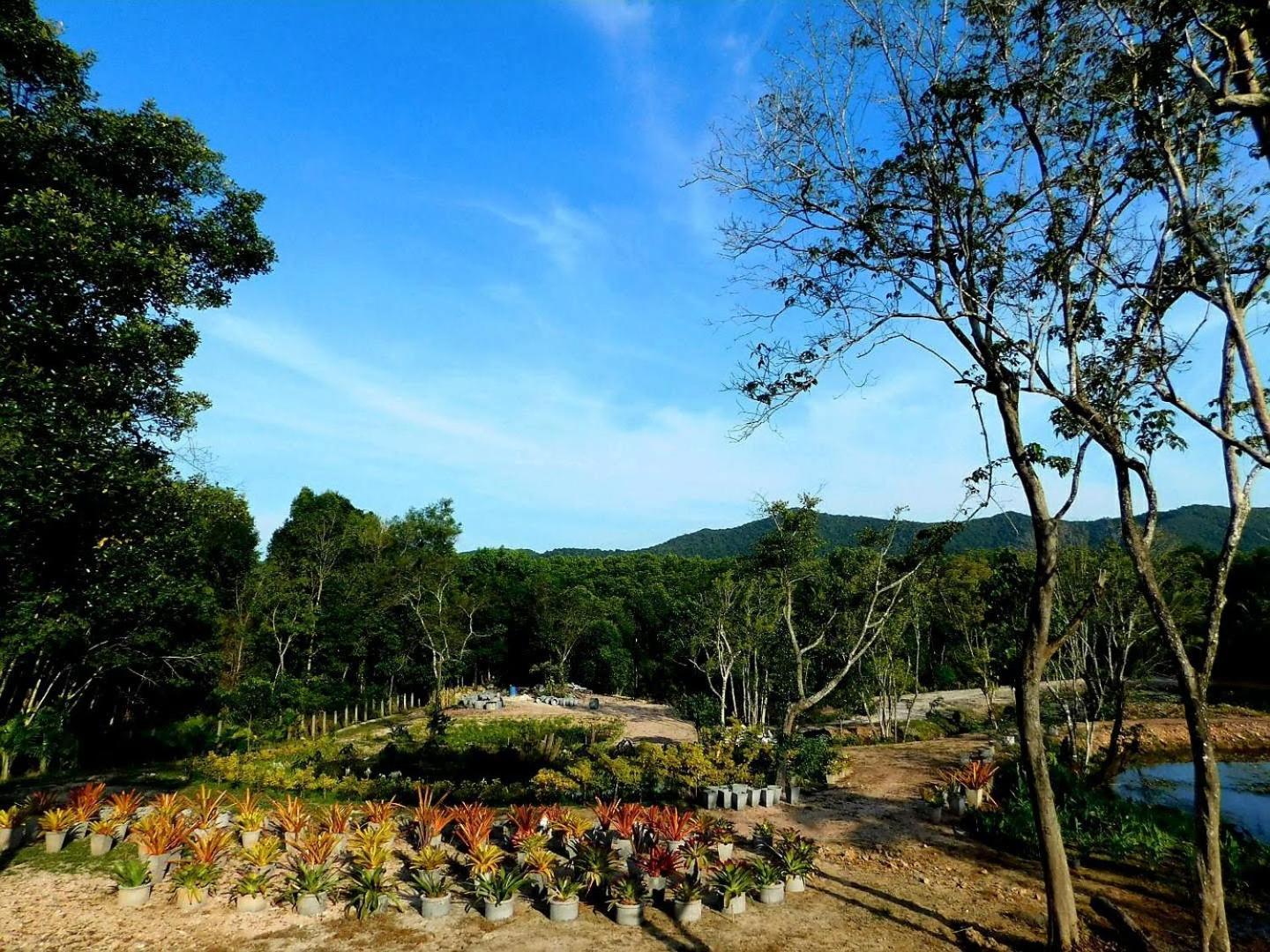 מלון Ban Pru Nai Swiss Bonihouse Koh Yao Yai מראה חיצוני תמונה