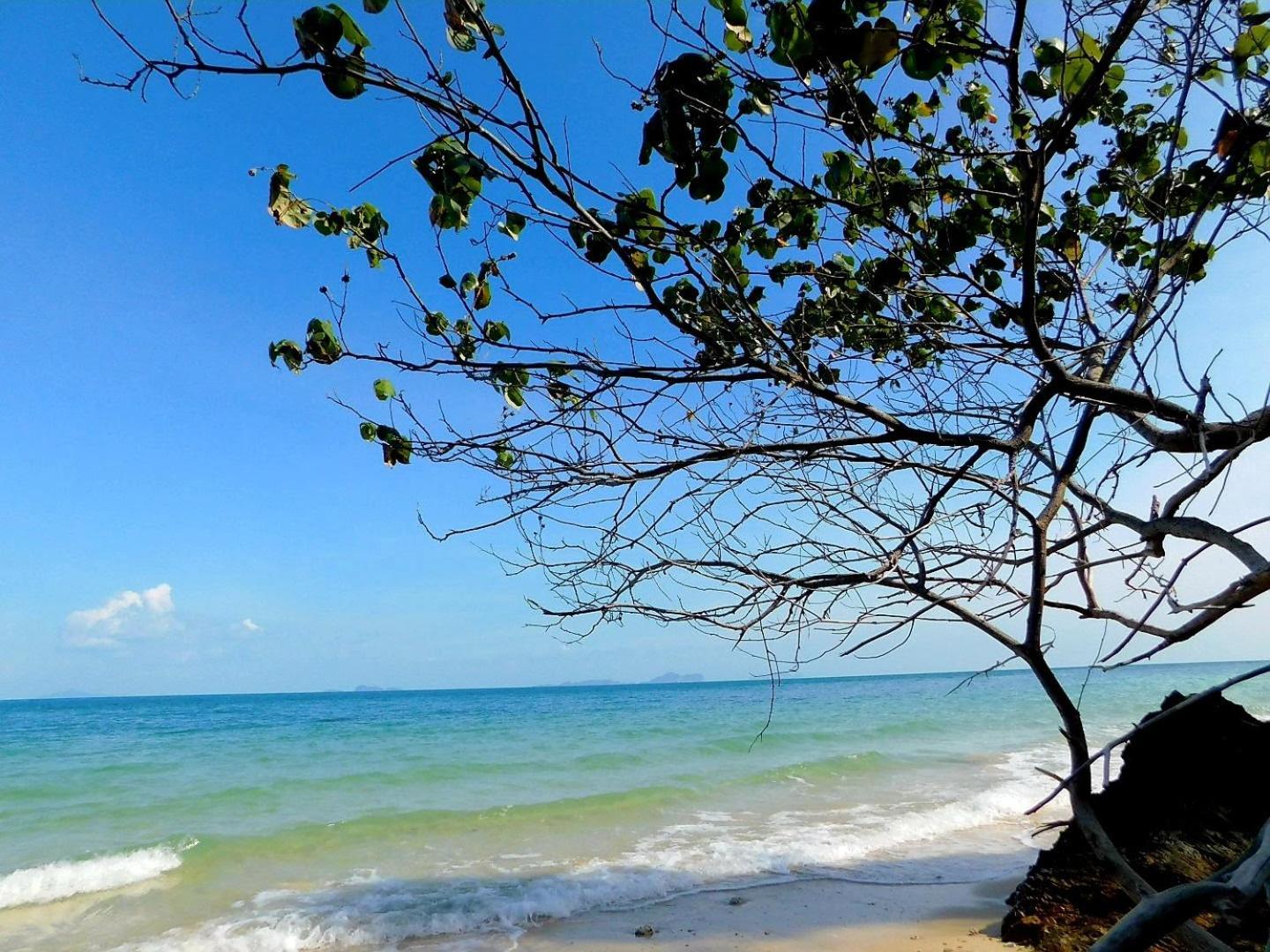 מלון Ban Pru Nai Swiss Bonihouse Koh Yao Yai מראה חיצוני תמונה